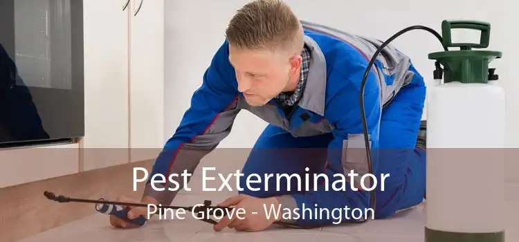 Pest Exterminator Pine Grove - Washington