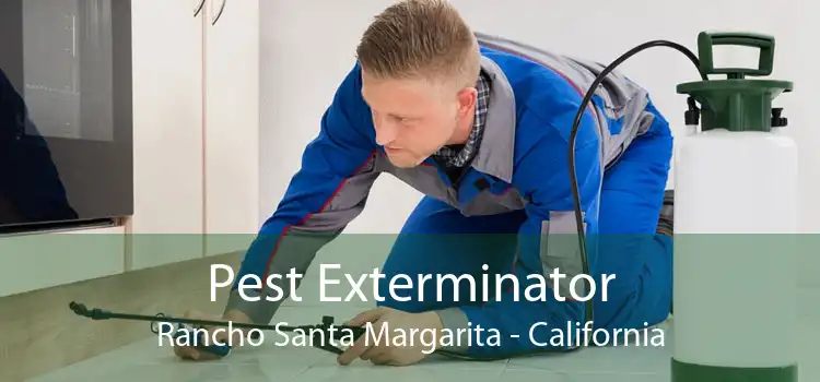 Pest Exterminator Rancho Santa Margarita - California