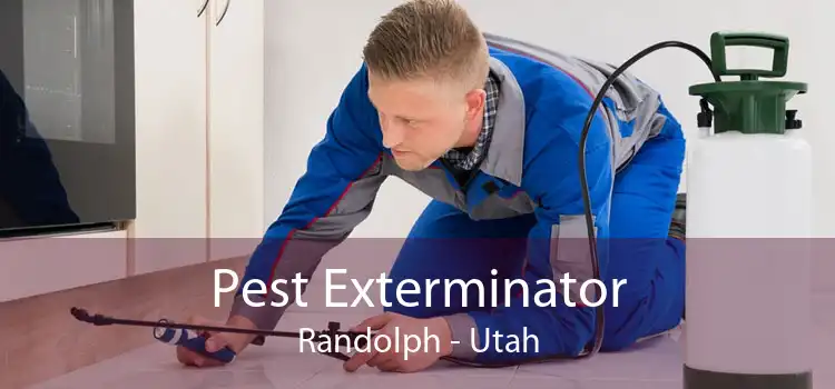 Pest Exterminator Randolph - Utah