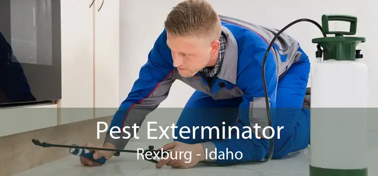 Pest Exterminator Rexburg - Idaho
