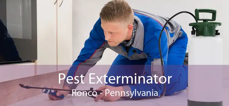 Pest Exterminator Ronco - Pennsylvania