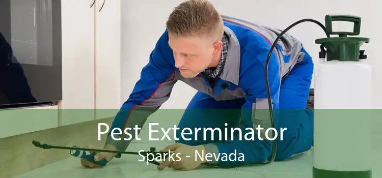 Pest Exterminator Sparks - Nevada