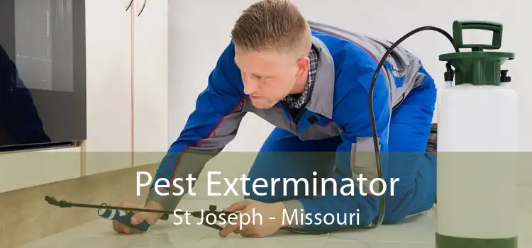 Pest Exterminator St Joseph - Missouri