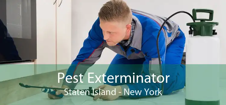 Pest Exterminator Staten Island - New York