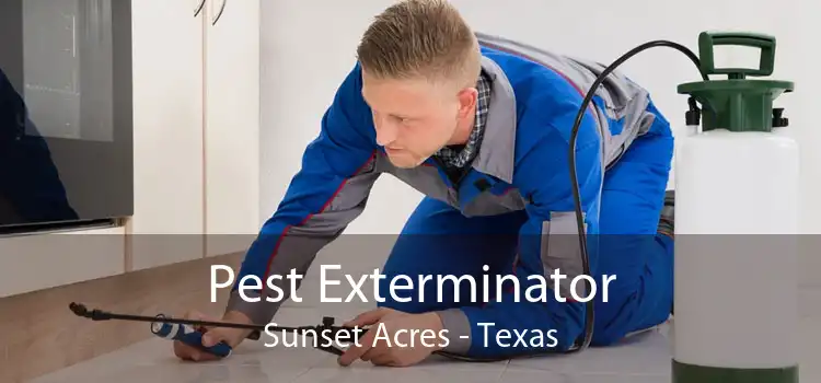 Pest Exterminator Sunset Acres - Texas