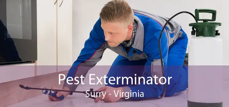 Pest Exterminator Surry - Virginia
