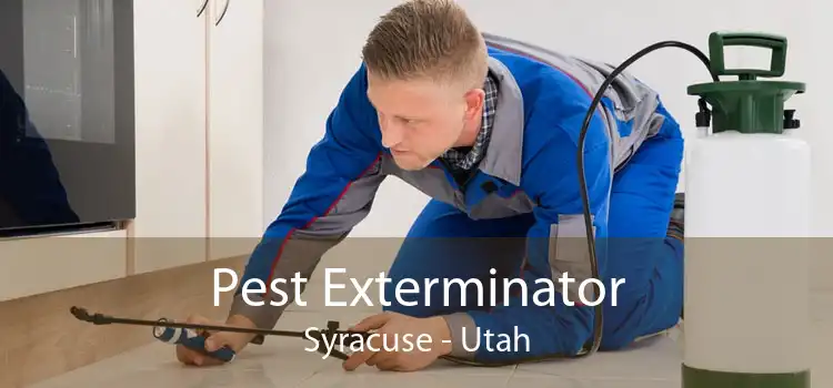 Pest Exterminator Syracuse - Utah
