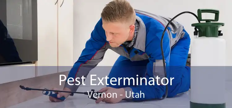 Pest Exterminator Vernon - Utah