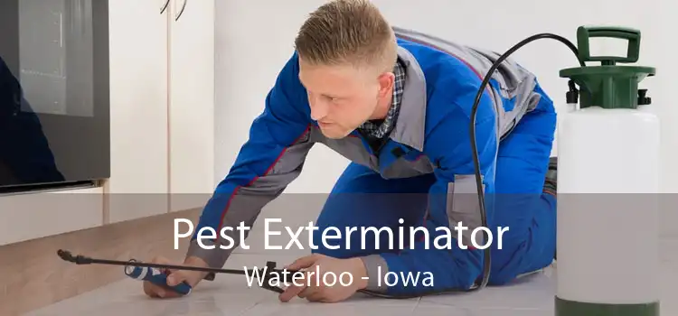 Pest Exterminator Waterloo - Iowa