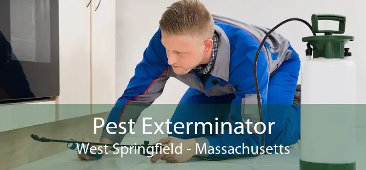 Pest Exterminator West Springfield - Massachusetts