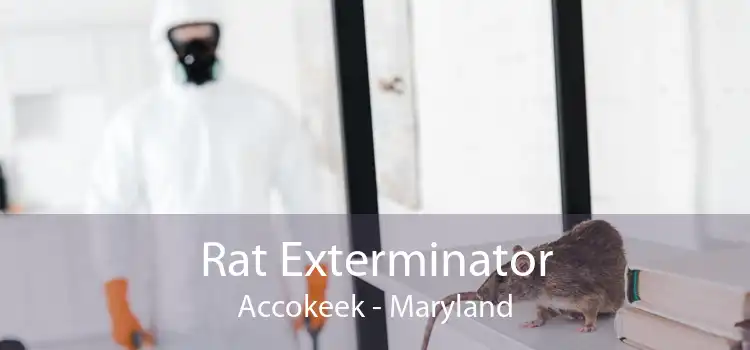 Rat Exterminator Accokeek - Maryland
