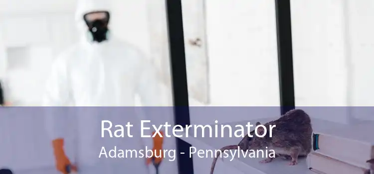Rat Exterminator Adamsburg - Pennsylvania