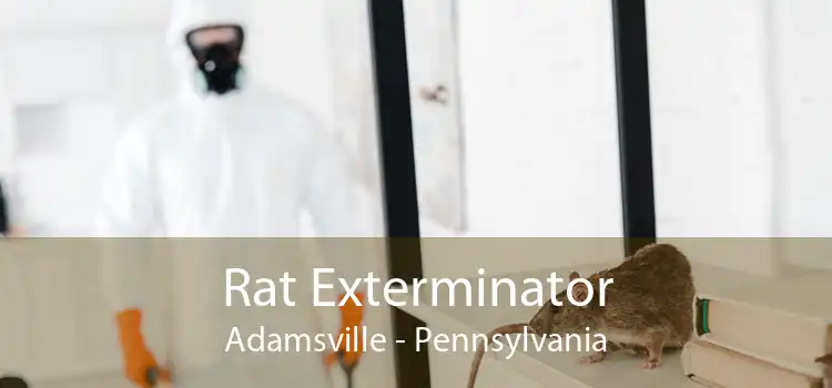Rat Exterminator Adamsville - Pennsylvania