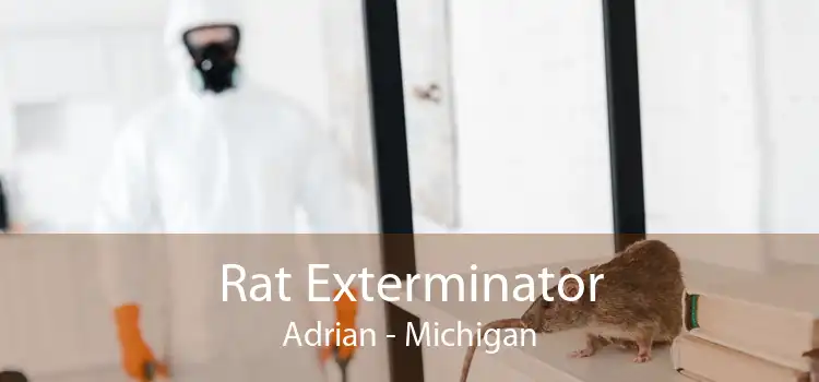 Rat Exterminator Adrian - Michigan