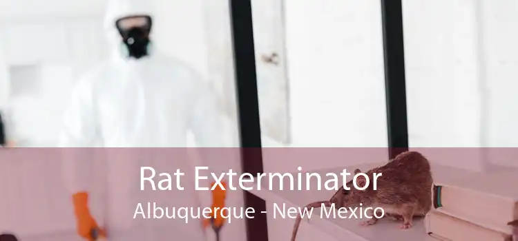 Rat Exterminator Albuquerque - New Mexico