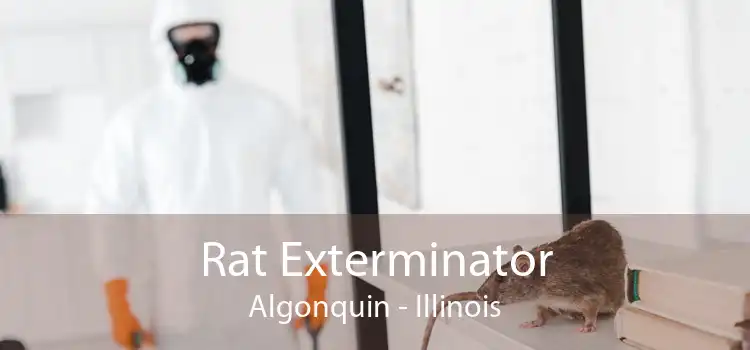 Rat Exterminator Algonquin - Illinois