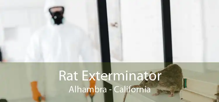 Rat Exterminator Alhambra - California