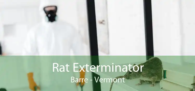 Rat Exterminator Barre - Vermont
