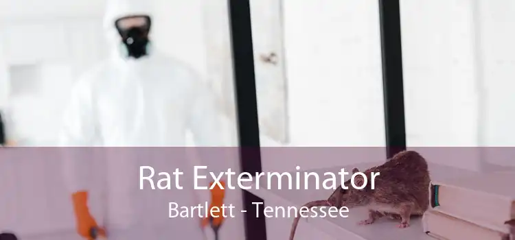 Rat Exterminator Bartlett - Tennessee