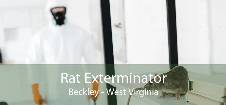 Rat Exterminator Beckley - West Virginia