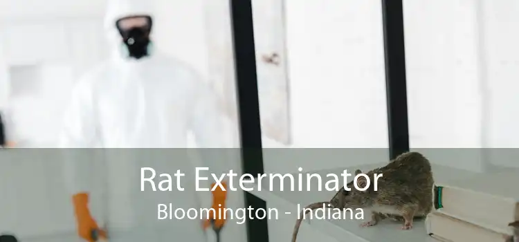 Rat Exterminator Bloomington - Indiana