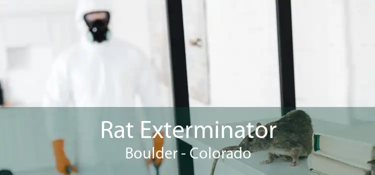 Rat Exterminator Boulder - Colorado