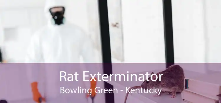 Rat Exterminator Bowling Green - Kentucky