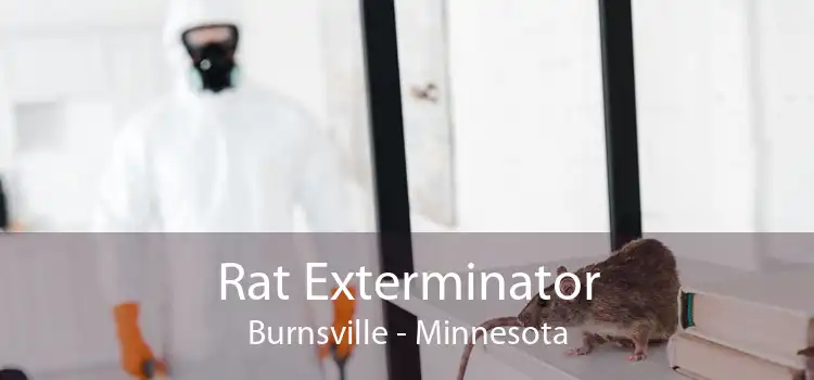 Rat Exterminator Burnsville - Minnesota