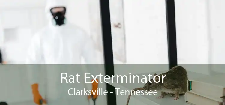 Rat Exterminator Clarksville - Tennessee