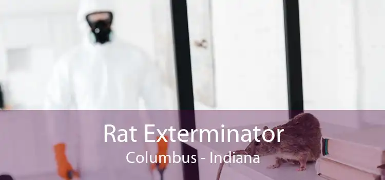 Rat Exterminator Columbus - Indiana