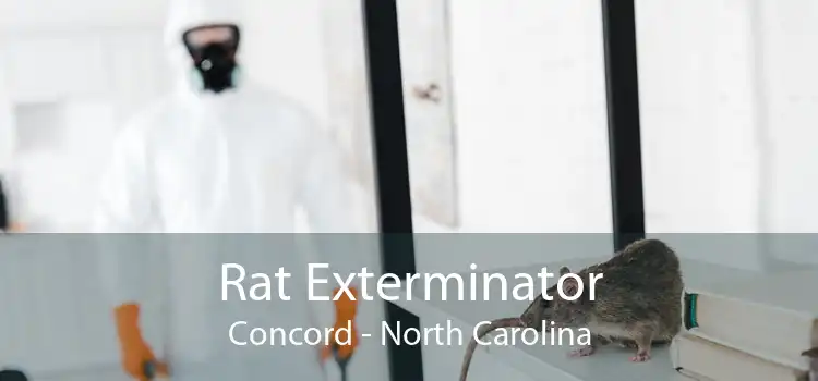 Rat Exterminator Concord - North Carolina