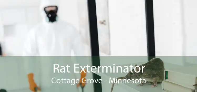 Rat Exterminator Cottage Grove - Minnesota