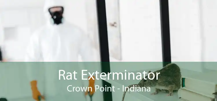 Rat Exterminator Crown Point - Indiana