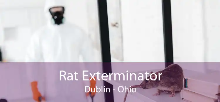 Rat Exterminator Dublin - Ohio