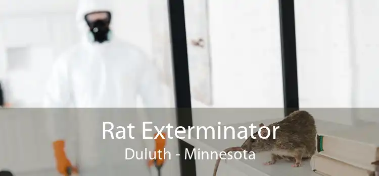 Rat Exterminator Duluth - Minnesota