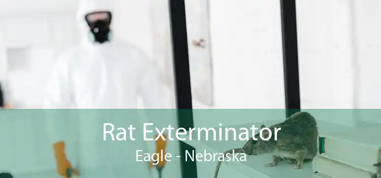 Rat Exterminator Eagle - Nebraska