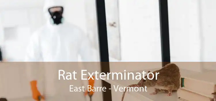 Rat Exterminator East Barre - Vermont