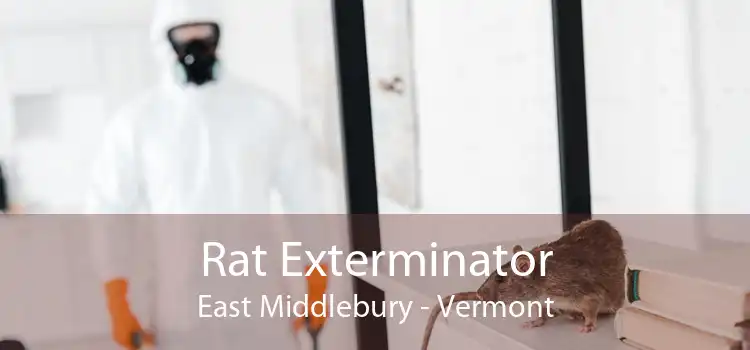 Rat Exterminator East Middlebury - Vermont