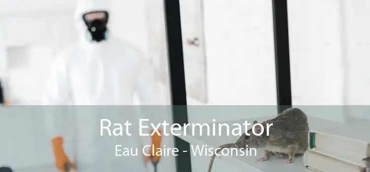 Rat Exterminator Eau Claire - Wisconsin