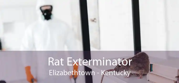 Rat Exterminator Elizabethtown - Kentucky