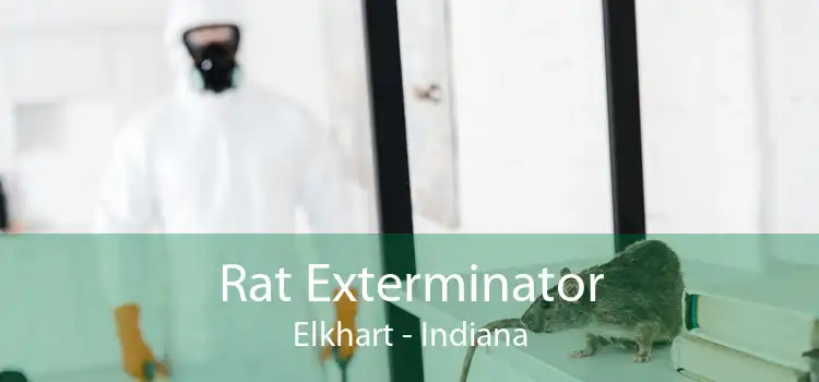 Rat Exterminator Elkhart - Indiana