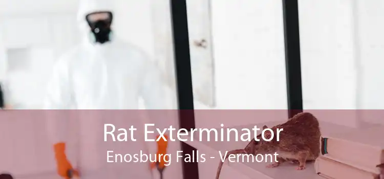 Rat Exterminator Enosburg Falls - Vermont