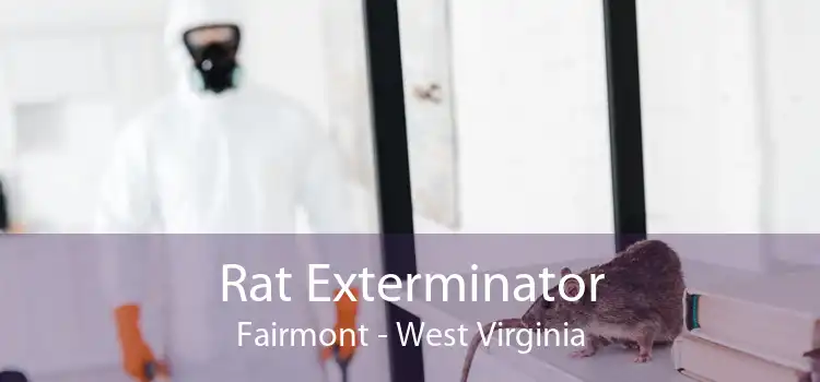 Rat Exterminator Fairmont - West Virginia