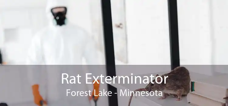 Rat Exterminator Forest Lake - Minnesota