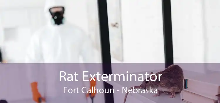 Rat Exterminator Fort Calhoun - Nebraska