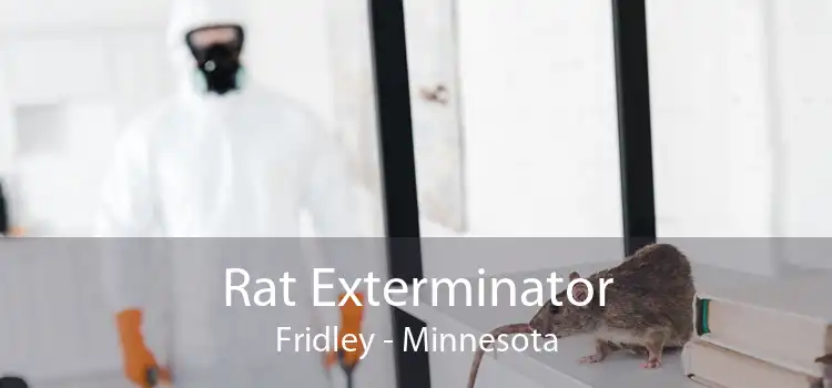 Rat Exterminator Fridley - Minnesota