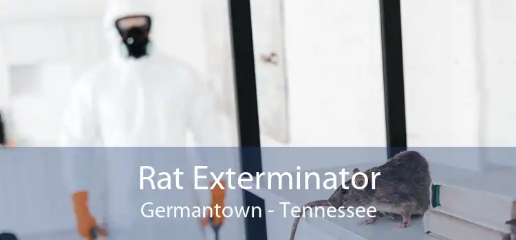 Rat Exterminator Germantown - Tennessee