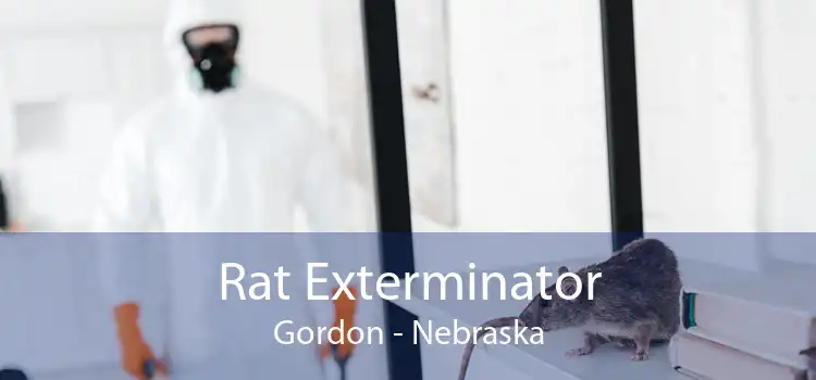 Rat Exterminator Gordon - Nebraska