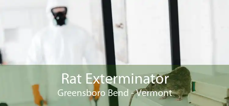 Rat Exterminator Greensboro Bend - Vermont
