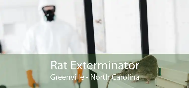 Rat Exterminator Greenville - North Carolina